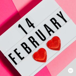 Feb in review